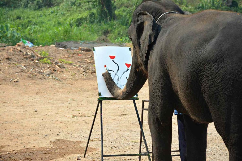 Βίντεο: Ελέφαντας ζωγραφίζει όπως ο… Πικάσο – Τον διώχνουν από το κοπάδι από ζήλεια!