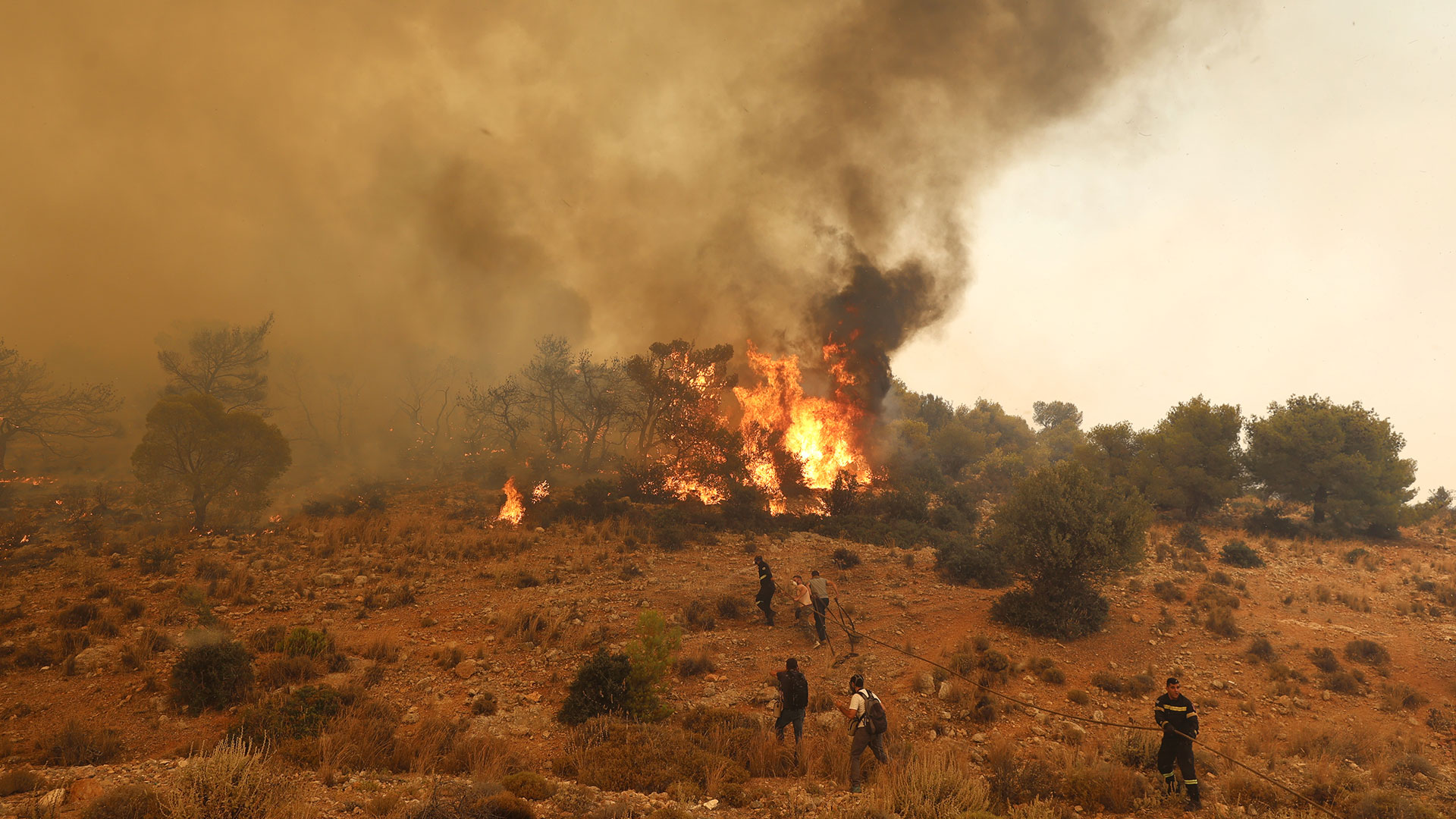 Εύβοια: Πυρκαγιά ξέσπασε σε δασική περιοχή στην Παναγίτσα