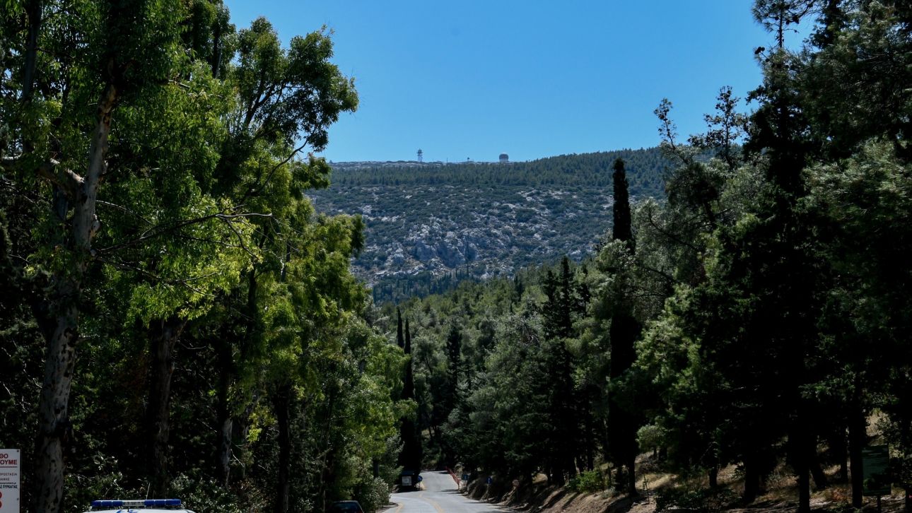 Αυξάνεται στα 150 ευρώ το επίδομα ανθυγιεινής εργασίας για τους δασικούς υπαλλήλους