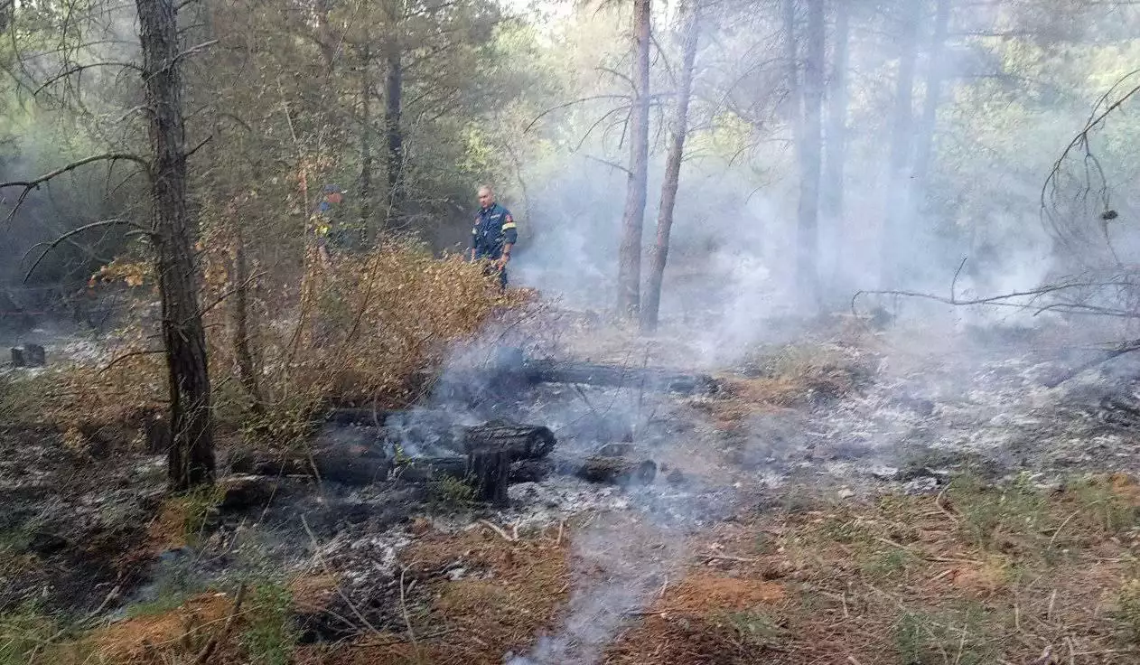 Φωτιά στο Σέιχ Σου: Συνελήφθη 25χρονος για εμπρησμό 