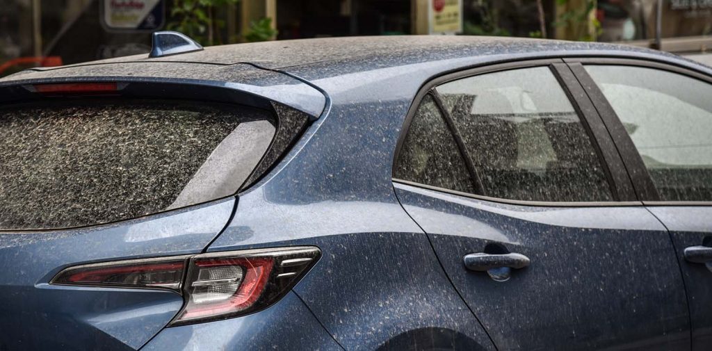 Δείτε γιατί η κίτρινη «σκόνη» από τη γύρη… βλάπτει τα αυτοκίνητα – Πώς να την καθαρίσετε