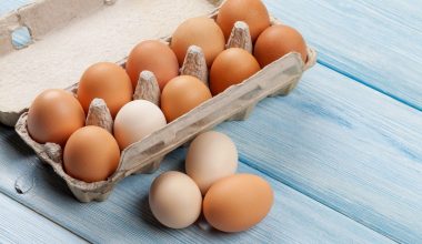 Αυστραλία: Αλυσίδα σούπερ μάρκετ βάζει πλαφόν στην προμήθεια αυγών λόγω της γρίπης των πτηνών
