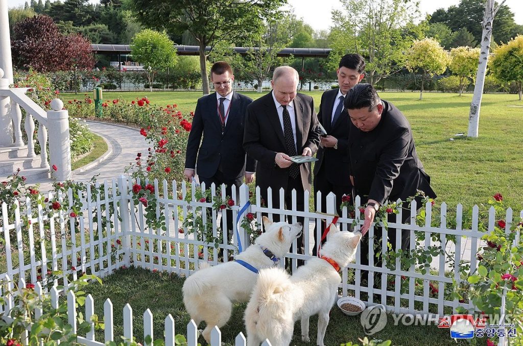 Το ζευγάρι σκύλων ράτσας Πουνγκσάν που έκανε δώρο στον Β.Πούτιν ο Κιμ Γιόνγκ Ουν (φώτο)