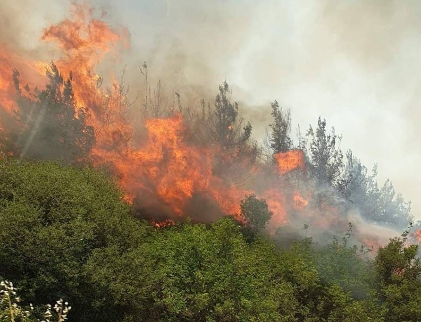 Ανοιχτά μέτωπα φωτιάς περιμετρικά της Αττικής σε Βαρυμπόμπη, Κόκκινο Μύλο, Αιγάλεω