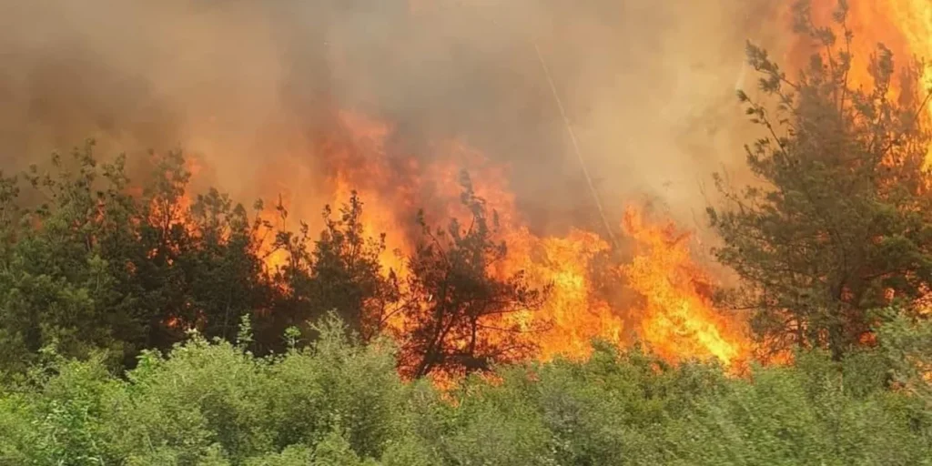 Πυρκαγιά στην Ηλεία: Νεκρός βρέθηκε άνδρας στην Μυρτιά
