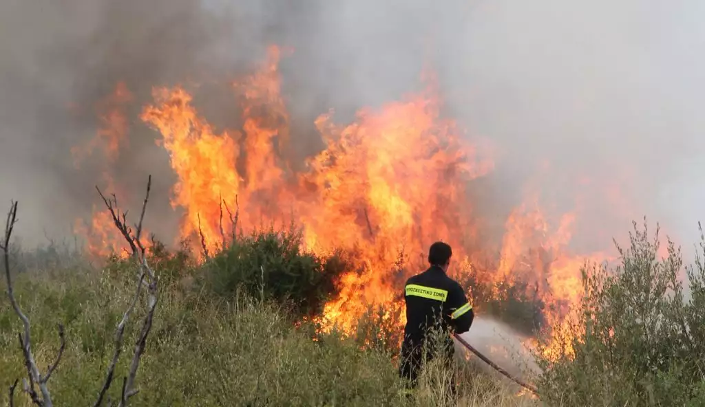 Διπλό μέτωπο πυρκαγιών στην Ηλεία: Στην περιοχή της Πηνείας πέρασε η πυρκαγιά της Αχαΐας