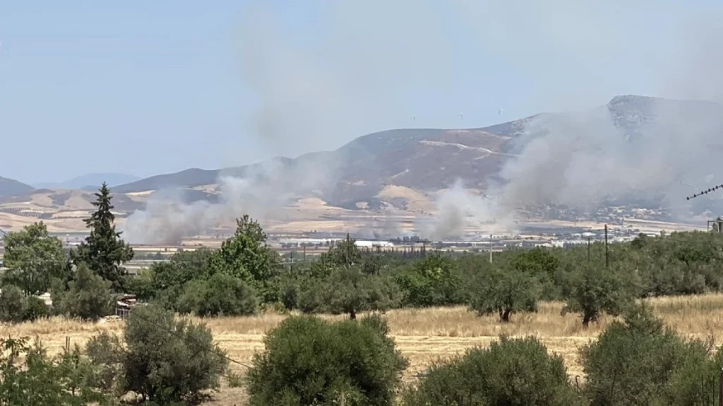 Δύο φωτιές σε εξέλιξη στη Θήβα – Στο σημείο βρίσκονται εργοστάσια