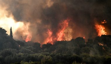 Ξέσπασε φωτιά στη Μηλίτσα Μεσσηνίας – Καίγεται αγροτοδασική έκταση