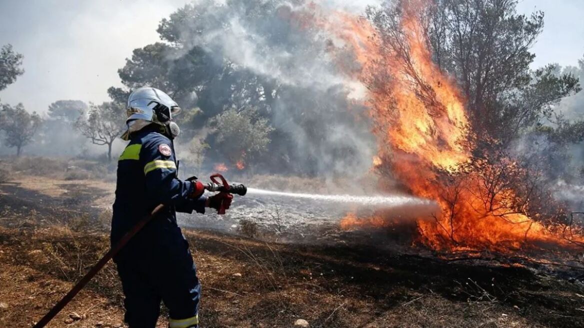 Φωτιά στην περιοχή Μαχαιράς Αιτωλοακαρνανίας – Καίγεται αγροτοδασική έκταση 