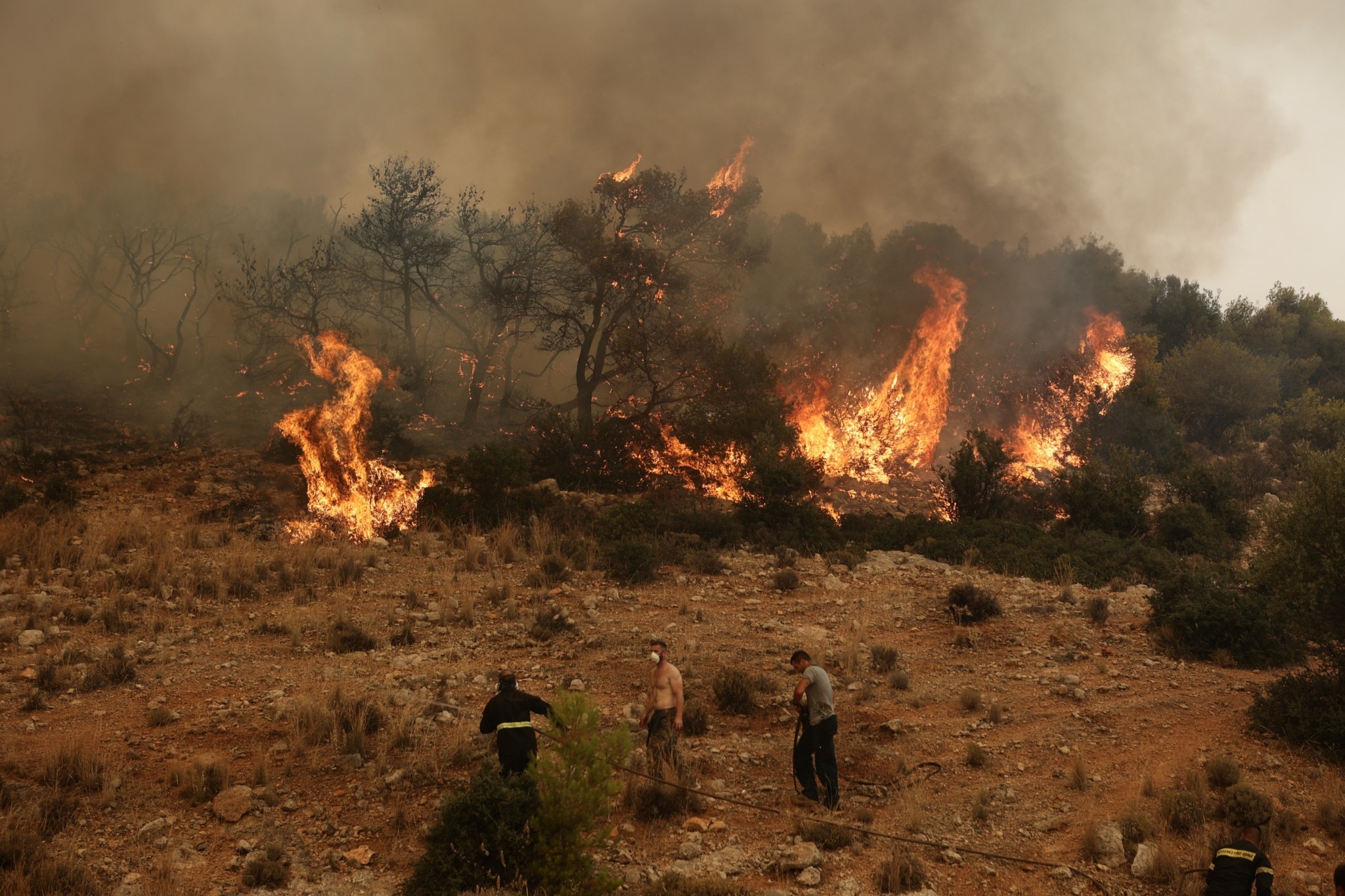 Πυροσβεστική: Δύο συλλήψεις για πρόκληση πυρκαγιών σε Ηλεία και Αττική