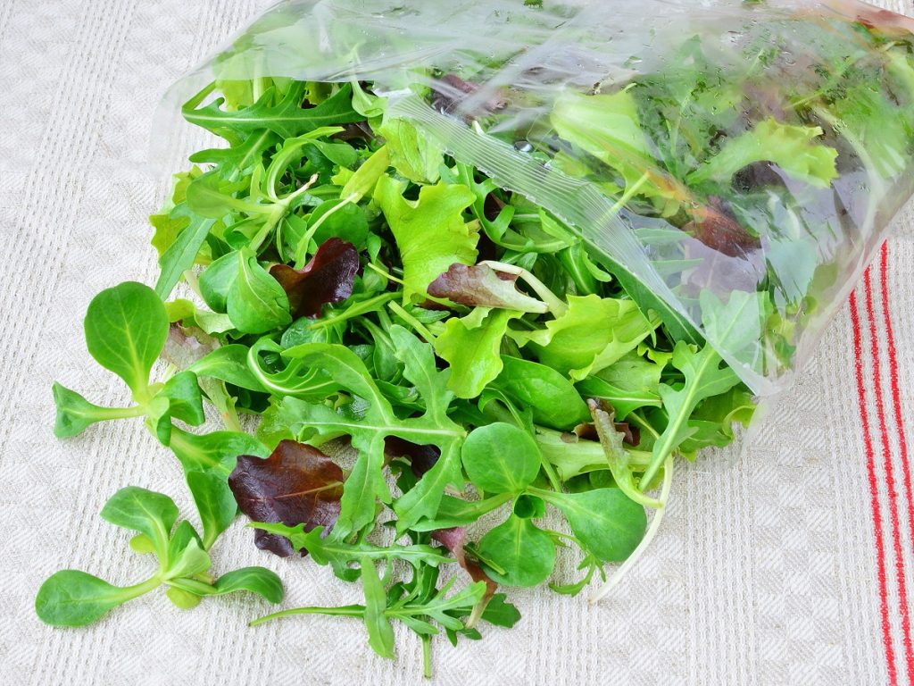 Δείτε τι πρέπει να προσέχετε με τις έτοιμες προπλυμένες σαλάτες – Τι είναι το κρυπτοσπορίδιο
