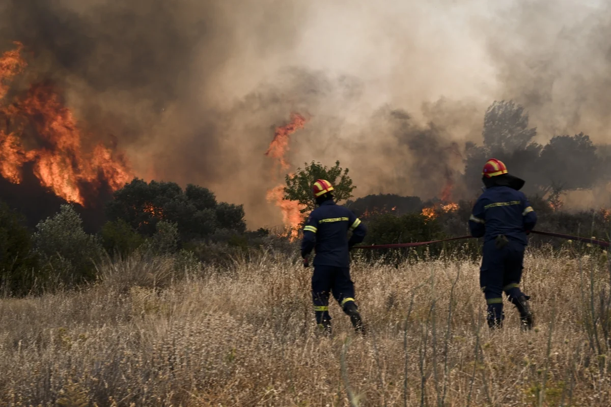 Κάρυστος: Φωτιά σε χαμηλή βλάστηση στην περιοχή Παξιμάδα (φώτο)