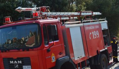 Πυροσβεστική: Συλλήψεις και πρόστιμα για τις φωτιές που ξέσπασαν σε Βοιωτία, Εύβοια, Αττική και Χαλκιδική