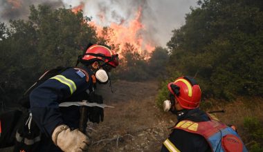 Πυροσβεστική: Ξέσπασαν 45 αγροδασικές πυρκαγιές το τελευταίο 24ωρο
