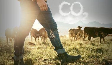 H ύποπτη «ατζέντα 2030»: Η Δανία γίνεται η πρώτη χώρα στον κόσμο που θα φορολογήσει το CO2 στην κτηνοτροφία!