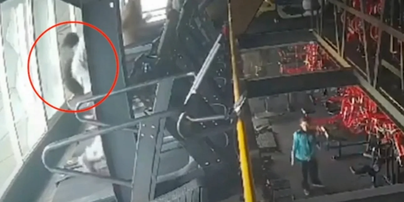 Βίντεο: Η στιγμή που γυναίκα σε γυμναστήριο σκοντάφτει στον διάδρομο και πέφτει από το παράθυρο του τρίτου ορόφου