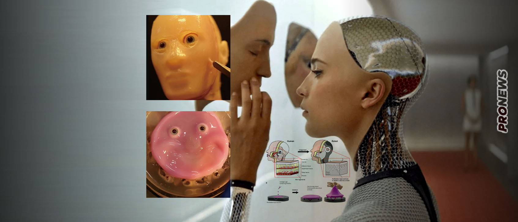 Τεχνητό δέρμα με ζωντανά ανθρώπινα κύτταρα για πρόσωπα ρομπότ έφτιαξαν Ιάπωνες επιστήμονες!