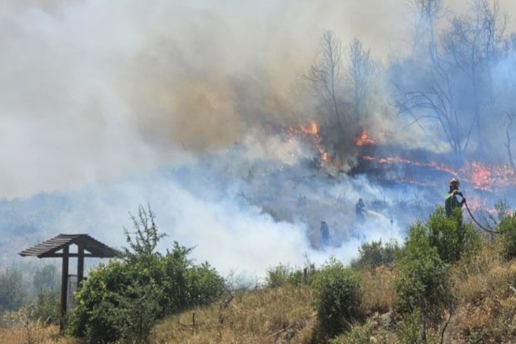 Κάτοικος Αφιδνών για φωτιά στην Πάρνηθα: «Η φορά του ανέμου δείχνει να την κατευθύνει προς Θρακομακεδόνες»