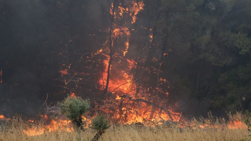 Δίστομο: Η πυρκαγιά κινείται προς δύσβατη δασική περιοχή