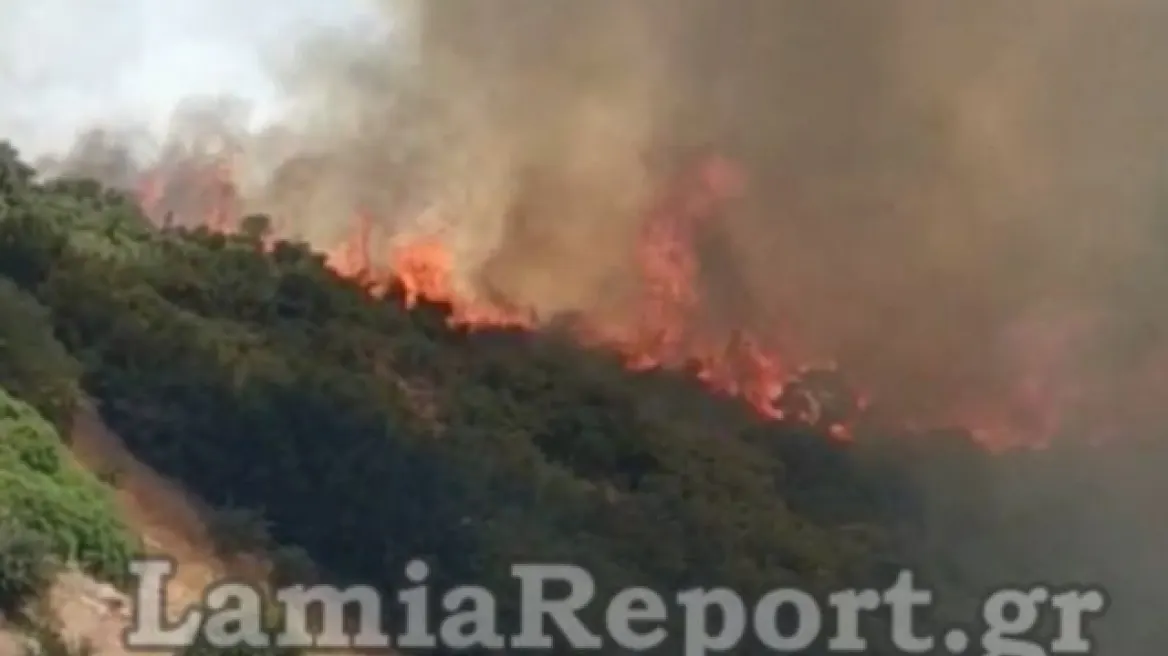 Μεγάλη φωτιά ξέσπασε και στη Λαμία: Καίγεται δασική έκταση (βίντεο) 
