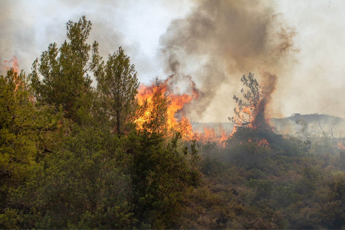 ΓΓΠΠ: Πολύ υψηλός κίνδυνος πυρκαγιάς για αύριο στην Κρήτη (χάρτης)