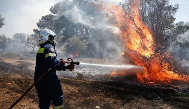 Πυρκαγιά στη Σταμάτα Διονύσου καίει ανεξέλεγκτη – Δεν αρκούν τα πυροσβεστικά μέσα – Εκκενώνονται Αμυγδαλέζα, Ροδόπολη και Γαλήνη