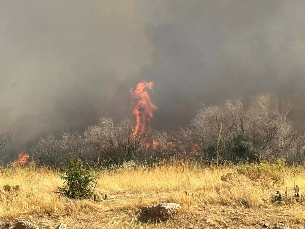 Κερατέα: Ανεξέλεγκτη η μεγάλη φωτιά στην Πλάκα – Κάηκαν σπίτια 