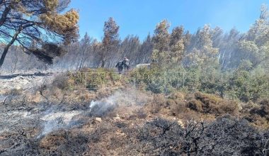 Κερατέα: Αναζωπυρώθηκε η φωτιά στην περιοχή Συντερίνα