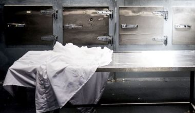 Φρίκη σε νεκροτομείο ελληνικού νησιού: Ιατροδικαστής ζητούσε από συνάδελφό του να συνευρεθούν ερωτικά δίπλα σε… σορούς