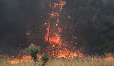 Δίστομο: Η πυρκαγιά κινείται προς δύσβατη δασική περιοχή