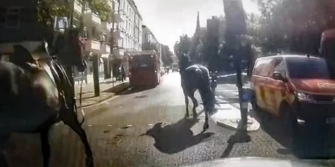 Βίντεο: Ξέφυγαν ξανά άλογα του Στρατού στο Λονδίνο και έτρεχαν στο μέσο της πόλης με κίνδυνο για τα ίδια και τους ανθρώπους
