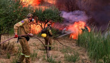 Αττική: Σε 5.551 στρέμματα ανέρχονται οι καμένες εκτάσεις από τις φωτιές του περασμένου Σαββατοκύριακου