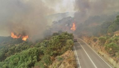 Φωτιά στη Χίο – Στο σημείο ισχυρές πυροσβεστικές δυνάμεις με επίγεια και εναέρια μέσα