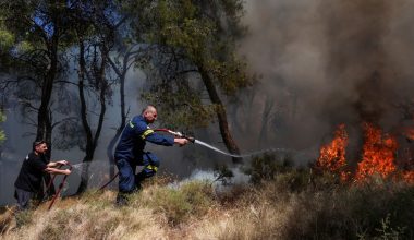 Φωτιά σε χαμηλή βλάστηση στη Νέα Ραιδεστό Θεσσαλονίκης