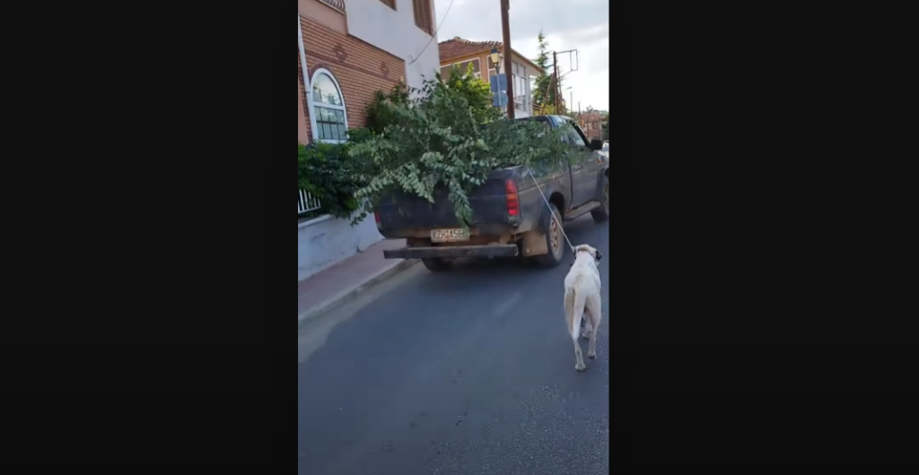 Βίντεο: Ηλικιωμένος έδεσε το σκύλο του με ένα σχοινί και τον έσερνε με το φορτηγάκι του στην Κοζάνη
