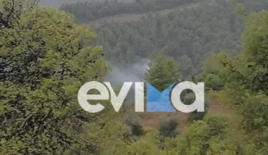 Χαλκίδα: Ξέσπασε φωτιά από κεραυνό στο χωριό Φύλλα