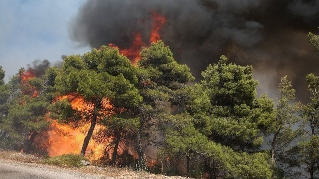 Δύο φωτιές από κεραυνούς στη Θάσο – Σηκώθηκαν αεροσκάφος και ελικόπτερα