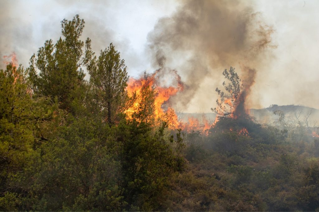 Φωτιά στη Ραφήνα – Σηκώθηκε ελικόπτερο