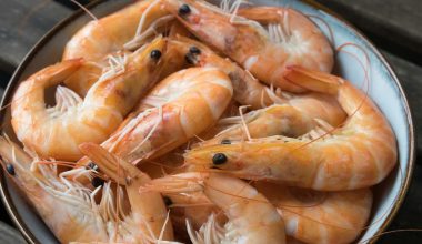 Ο ΕΦΕΤ ανακαλεί από την αγορά γνωστές κατεψυγμένες γαρίδες με σαλμονέλα – Δείτε ποιες αφορά (φώτο)