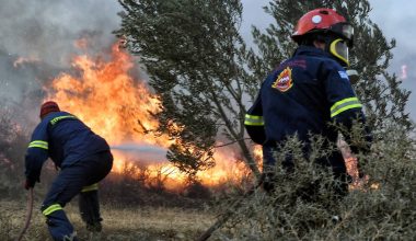 Φωτιά στα Βίλια Αττικής – Επιχειρούν έξι πυροσβέστες με δύο οχήματα