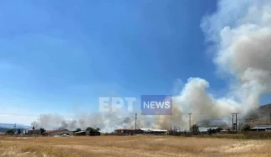 Καστοριά: Ξέσπασε φωτιά στο Βιομηχανικό Πάρκο 