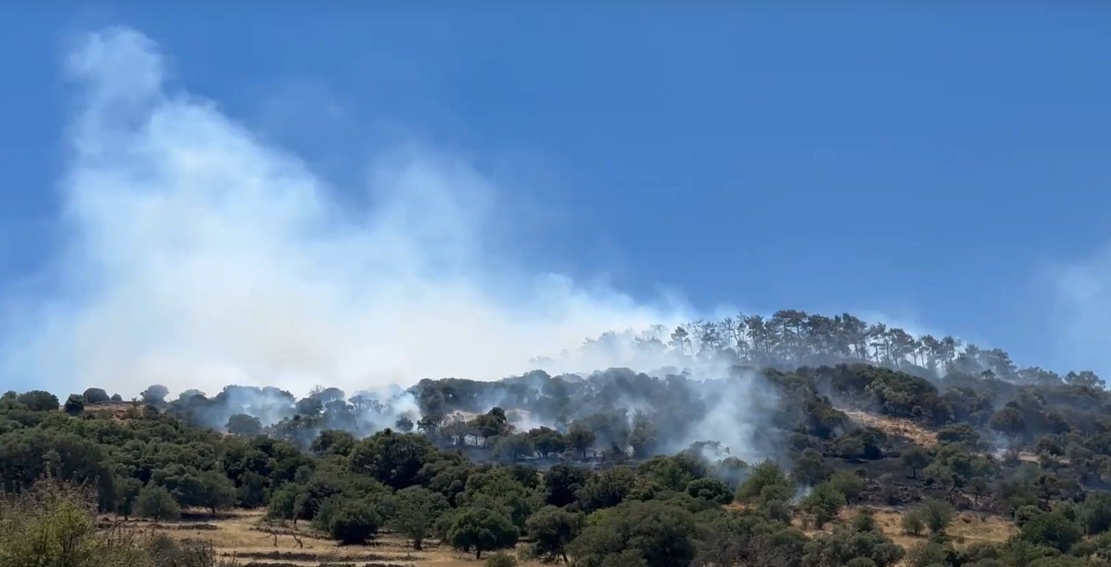 Χωρίς ενεργά μέτωπα η πυρκαγιά στη Λέσβο: Επιχειρούν οκτώ αεροσκάφη και ένα ελικόπτερο (upd)