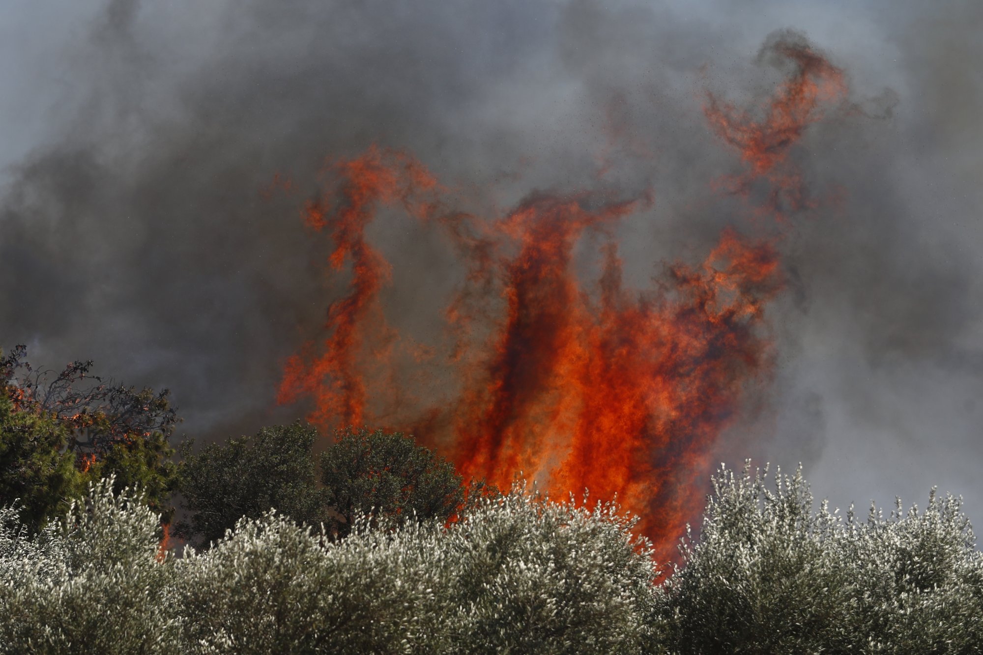 Αλβανία: Συναγερμός για μεγάλη φωτιά κοντά στα σύνορα με την Ελλάδα