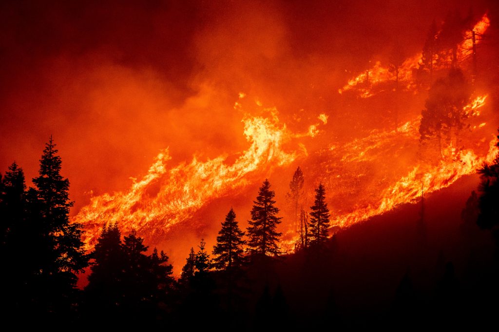 Φάρσαλα: Πυρκαγιά από υπολείμματα καλλιεργειών – Τεράστια κινητοποίηση της Πυροσβεστικής
