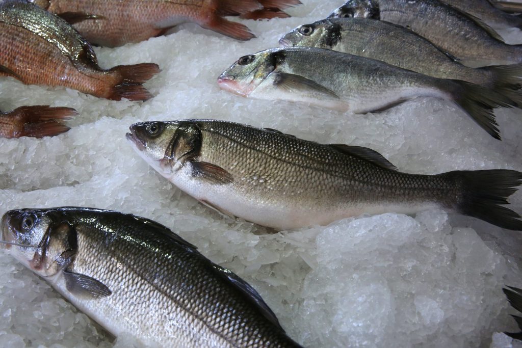«Είδος πολυτελείας» τα ψάρια: Στα ύψη οι τιμές σε σαρδέλα, γαύρο και γόπες