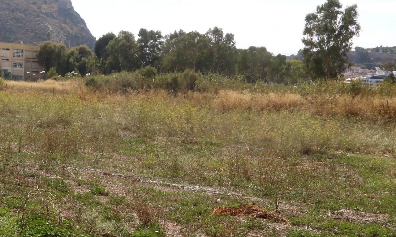 Ακαθάριστα οικόπεδα: «Εκπνέει» η προθεσμία υποβολής της δήλωσης – Ποιοι κινδυνεύουν με πρόστιμο 1.000 ευρώ