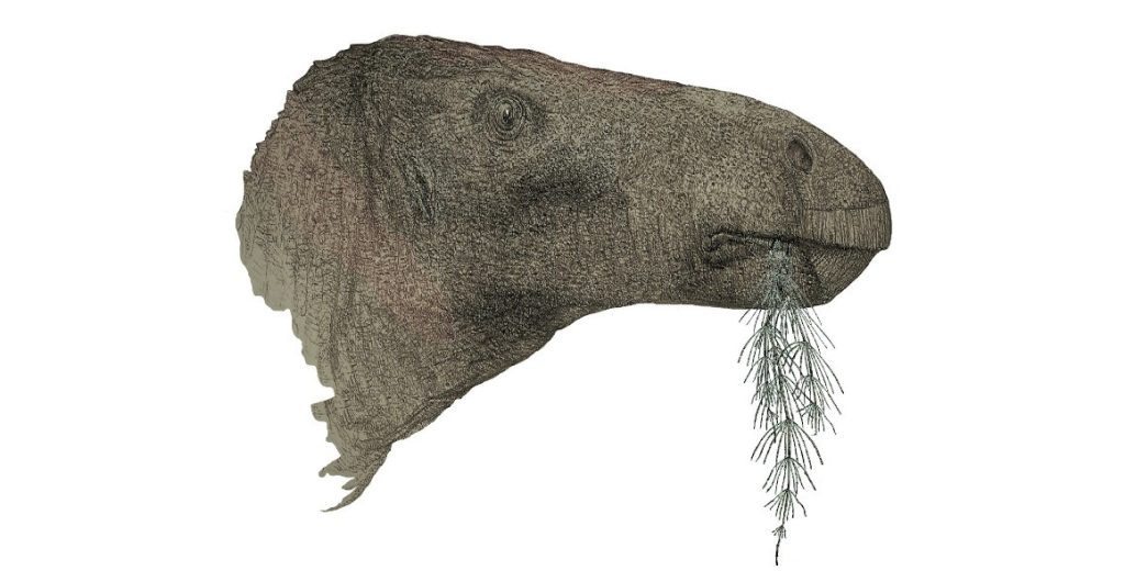 Αγγλία: Εντοπίστηκαν τα λείψανα χορτοφάγου δεινόσαυρου που έζησε πριν περίπου 125 εκατ. χρόνια (φώτο)