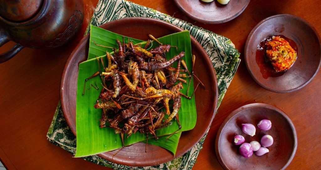 Σιγκαπούρη: Πήρε έγκριση για 16 έντομα προς κατανάλωση