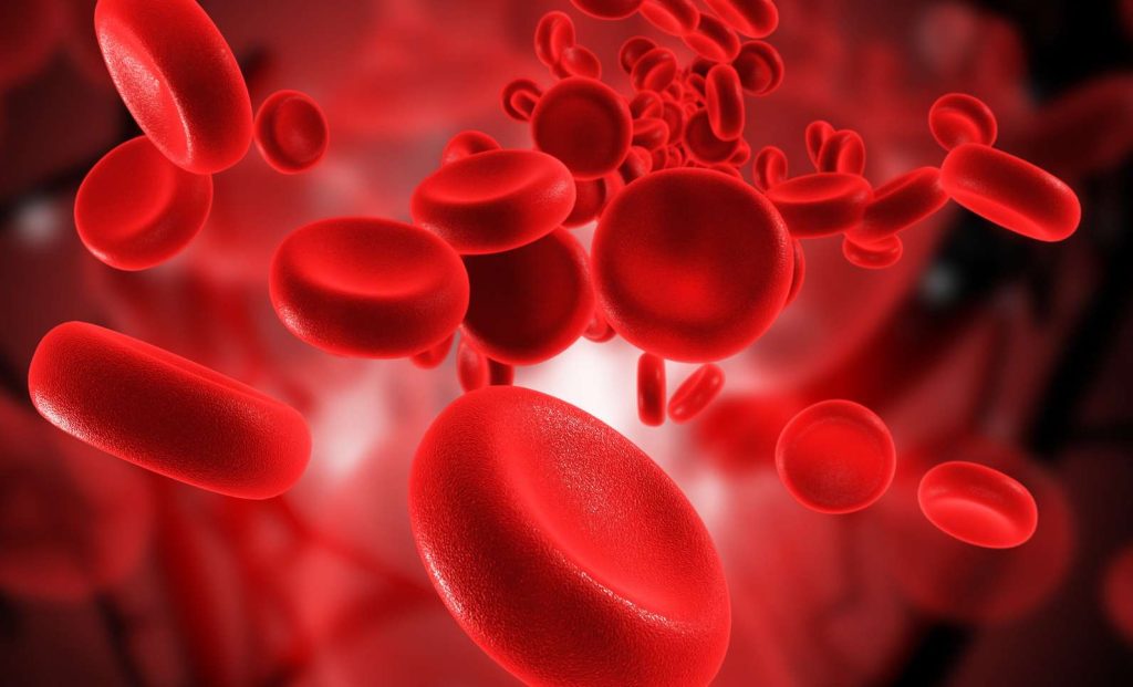 Όσα πρέπει να γνωρίζετε για τις ομάδες αίματος: Πότε μπορούν να αλλάξουν και ποιες είναι συμβατές μεταξύ τους