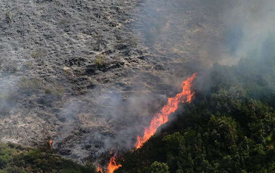 Αλεξανδρούπολη: Πυρκαγιά ξέσπασε σε αγροτοδασική έκταση στην Εγνατία Οδό